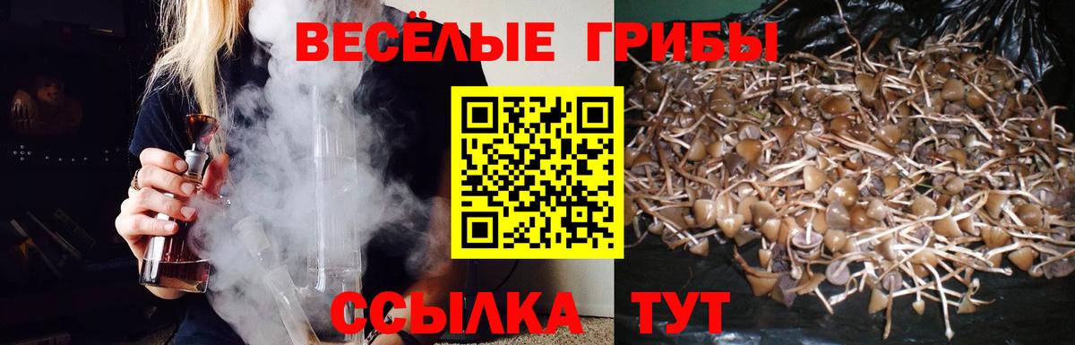 Псилоцибиновые грибы прущие грибы Кулебаки